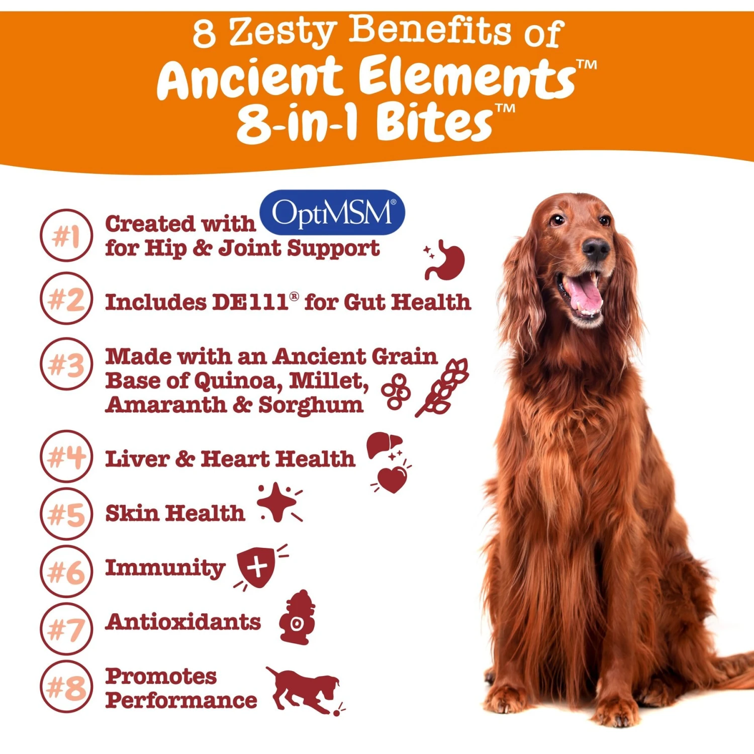 Zesty Paws Ancient Elements 8-in-1 Bites Bison Flavored Soft Chews Multivitamin For Dogs 2 Zesty Paws Ancient Elements 8-in-1 Bites Bison Flavored Soft Chews Multivitamin For Dogs - Image 2