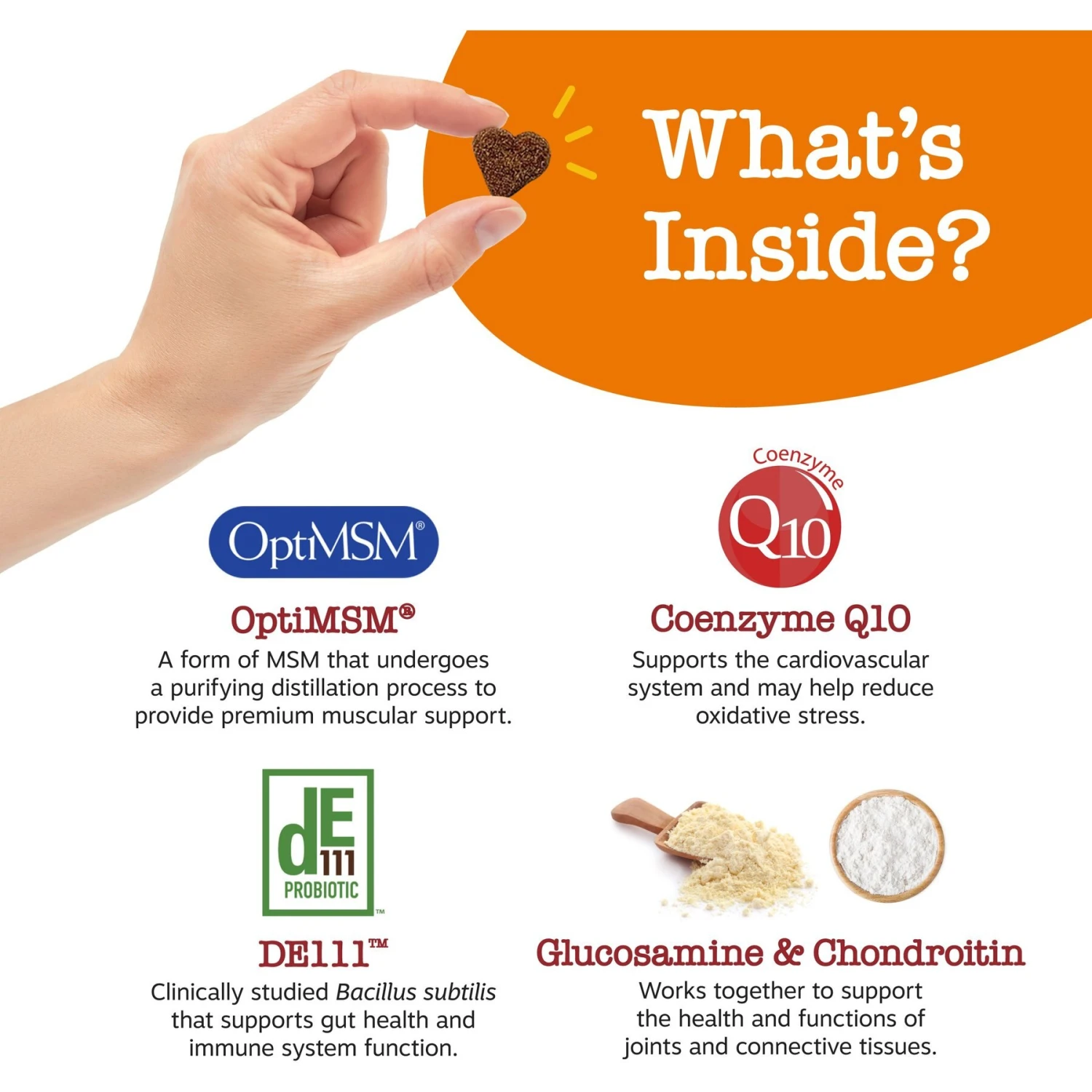 Zesty Paws Ancient Elements 8-in-1 Bites Bison Flavored Soft Chews Multivitamin For Dogs 3 Zesty Paws Ancient Elements 8-in-1 Bites Bison Flavored Soft Chews Multivitamin For Dogs - Image 3