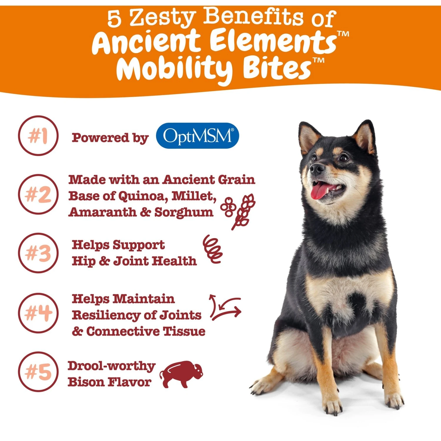 Zesty Paws Ancient Elements Mobility Bites Bison Flavored Soft Chews Hip & Joint Supplement For Dogs, 90 Count 2 Zesty Paws Ancient Elements Mobility Bites Bison Flavored Soft Chews Hip & Joint Supplement For Dogs, 90 Count - Image 2