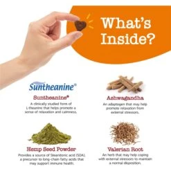 Zesty Paws Ancient Elements Hemp Calming Bites Bison Flavored Soft Chews Supplement For Dogs -Pet Wellness 249431 PT2. AC SS1800 V1697030517