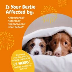 Zesty Paws Ancient Elements Hemp Calming Bites Bison Flavored Soft Chews Supplement For Dogs -Pet Wellness 249431 PT3. AC SS1800 V1697032076