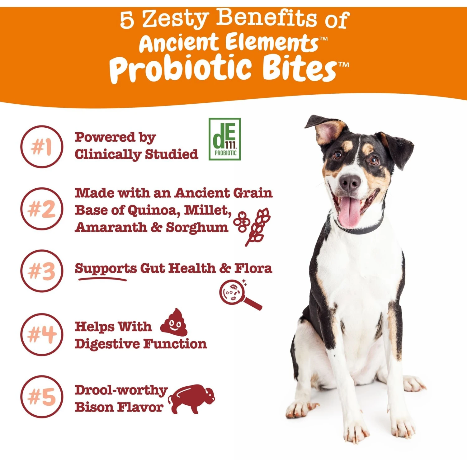 Zesty Paws Ancient Elements Probiotic Bites Bison Flavored Soft Chews Digestive Supplement For Dogs 2 Zesty Paws Ancient Elements Probiotic Bites Bison Flavored Soft Chews Digestive Supplement For Dogs - Image 2