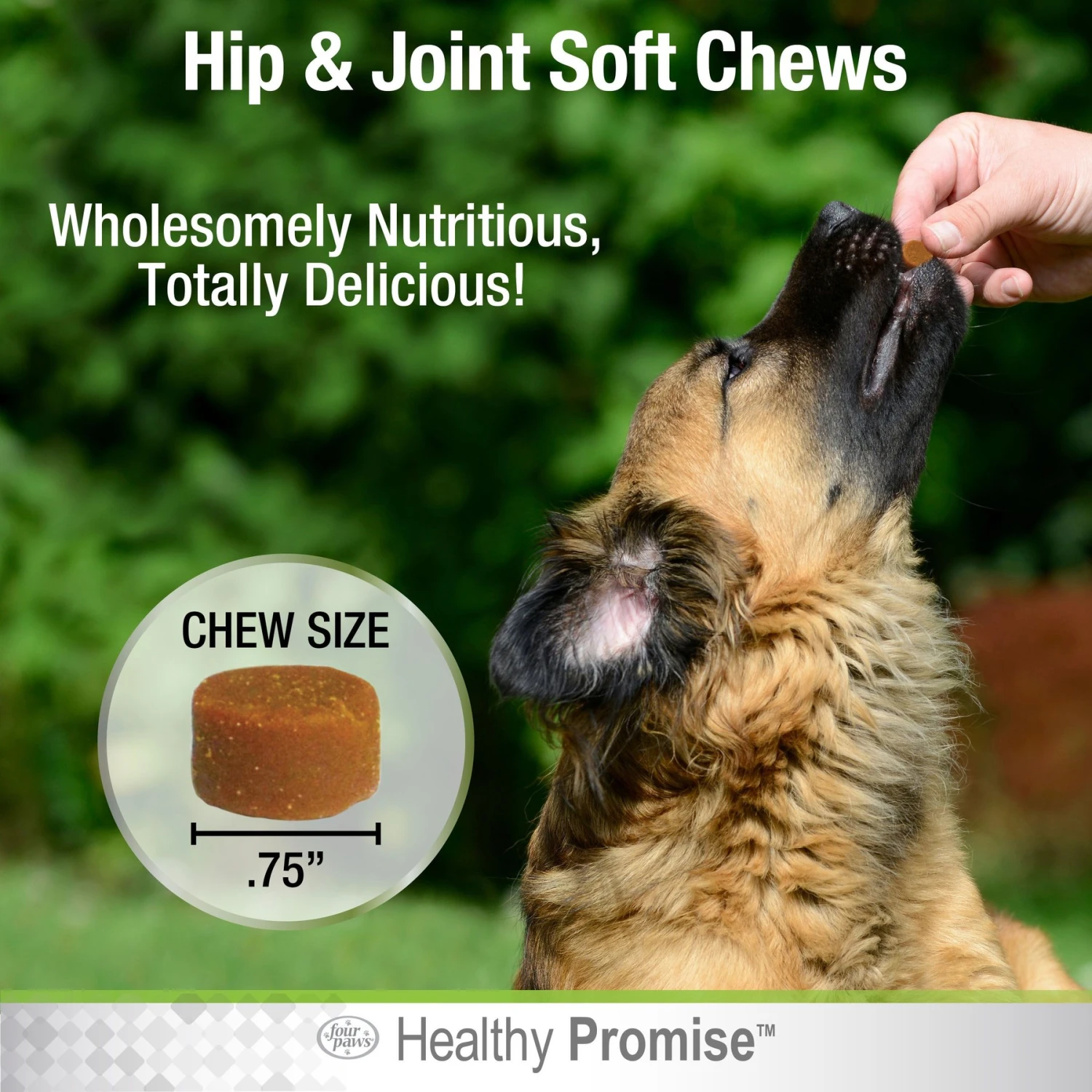 Four Paws Healthy Promise Advanced Formula Soft Chews Hip & Joint Dog Supplement 3 Four Paws Healthy Promise Advanced Formula Soft Chews Hip & Joint Dog Supplement - Image 3