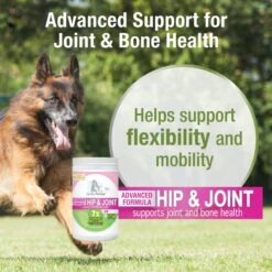 Four Paws Healthy Promise Advanced Formula Soft Chews Hip & Joint Dog Supplement 12 Four Paws Healthy Promise Advanced Formula Soft Chews Hip & Joint Dog Supplement -Pet Wellness 249489 PT3. AC SS1800 V1661179048