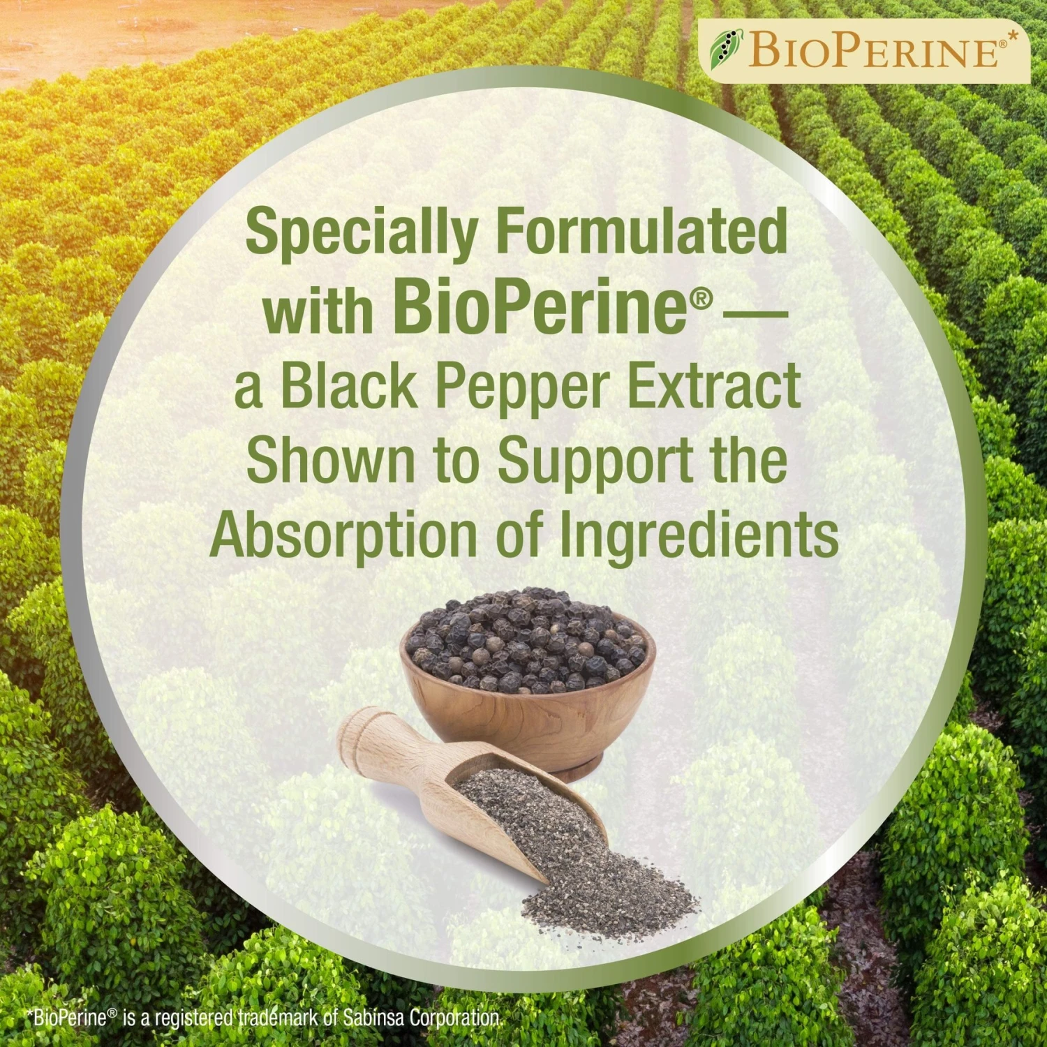 Four Paws Healthy Promise Advanced Formula Soft Chews Hip & Joint Dog Supplement 7 Four Paws Healthy Promise Advanced Formula Soft Chews Hip & Joint Dog Supplement - Image 7