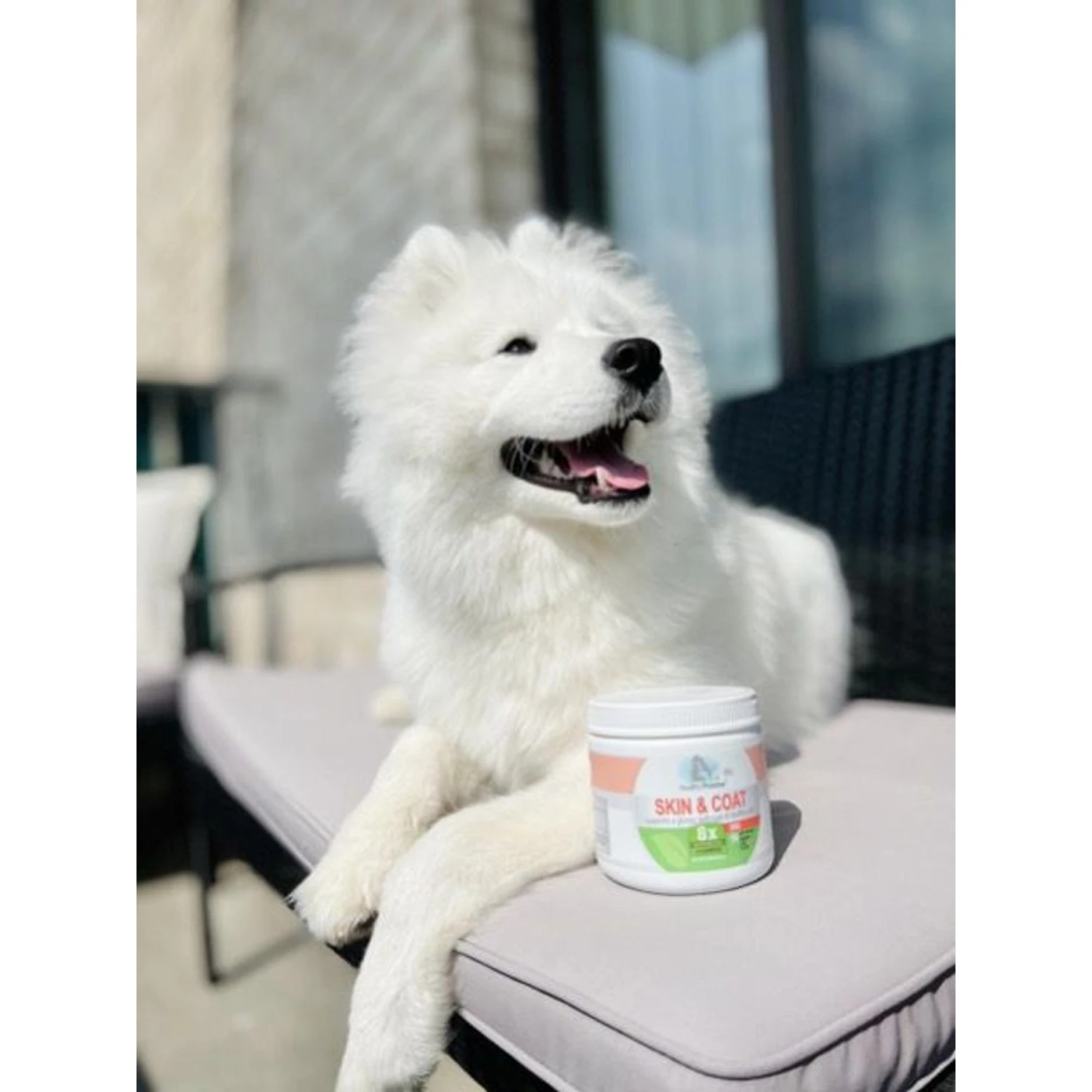 Four Paws Healthy Promise Skin & Coat Soft Chews Dog Supplements, 90 Count 2 Four Paws Healthy Promise Skin & Coat Soft Chews Dog Supplements, 90 Count - Image 2