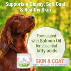 Four Paws Healthy Promise Skin & Coat Soft Chews Dog Supplements, 90 Count 11 Four Paws Healthy Promise Skin & Coat Soft Chews Dog Supplements, 90 Count -Pet Wellness 249491 PT2. AC SS1800 V1661178593