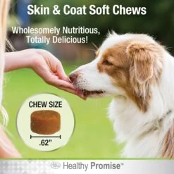 Four Paws Healthy Promise Skin & Coat Soft Chews Dog Supplements, 90 Count 13 Four Paws Healthy Promise Skin & Coat Soft Chews Dog Supplements, 90 Count -Pet Wellness 249491 PT4. AC SS1800 V1661179042