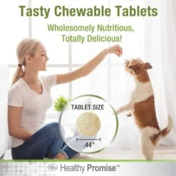 Four Paws Healthy Promise Brewers Yeast Supplement For Dogs 14 Four Paws Healthy Promise Brewers Yeast Supplement For Dogs -Pet Wellness 249493 PT5. AC SS1800 V1597937833