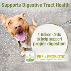 Four Paws Healthy Promise Pre & Probiotics Soft Chews Dog Supplement, 90 Count -Pet Wellness 249496 PT3. AC SS1800 V1661177314