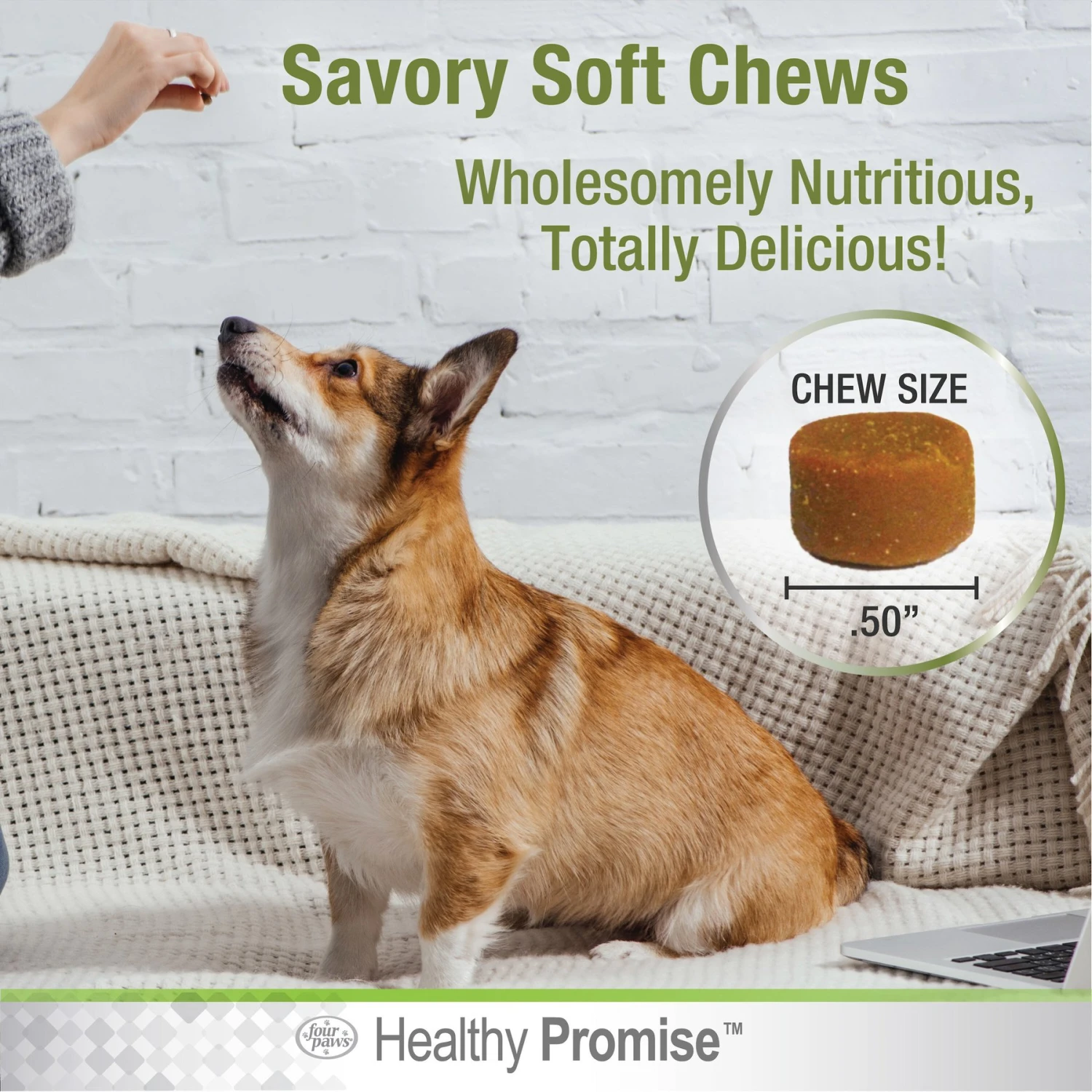 Four Paws Healthy Promise Dog Calming Chews, 90 Count 7 Four Paws Healthy Promise Dog Calming Chews, 90 Count - Image 7