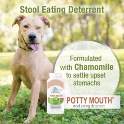 Four Paws Healthy Promise Potty Mouth Tablets Coprophagia Dog Stool Eating Deterrent, 90 Count 12 Four Paws Healthy Promise Potty Mouth Tablets Coprophagia Dog Stool Eating Deterrent, 90 Count -Pet Wellness 249504 PT3. AC SS1800 V1597938366
