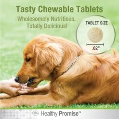 Four Paws Healthy Promise Potty Mouth Tablets Coprophagia Dog Stool Eating Deterrent, 90 Count 14 Four Paws Healthy Promise Potty Mouth Tablets Coprophagia Dog Stool Eating Deterrent, 90 Count -Pet Wellness 249504 PT5. AC SS1800 V1597941363