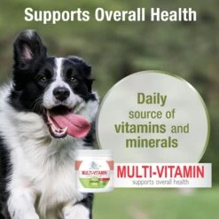 Four Paws Healthy Promise Multivitamin Soft Chews Dog Supplement, 120 Count -Pet Wellness 249506 PT5. AC SS1800 V1661179765