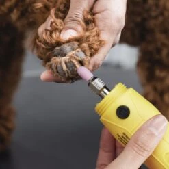 ConairPROPET Professional Cordless Two-Speed LED Dog Nail Grinder -Pet Wellness 249516 PT6. AC SS1800 V1695824067