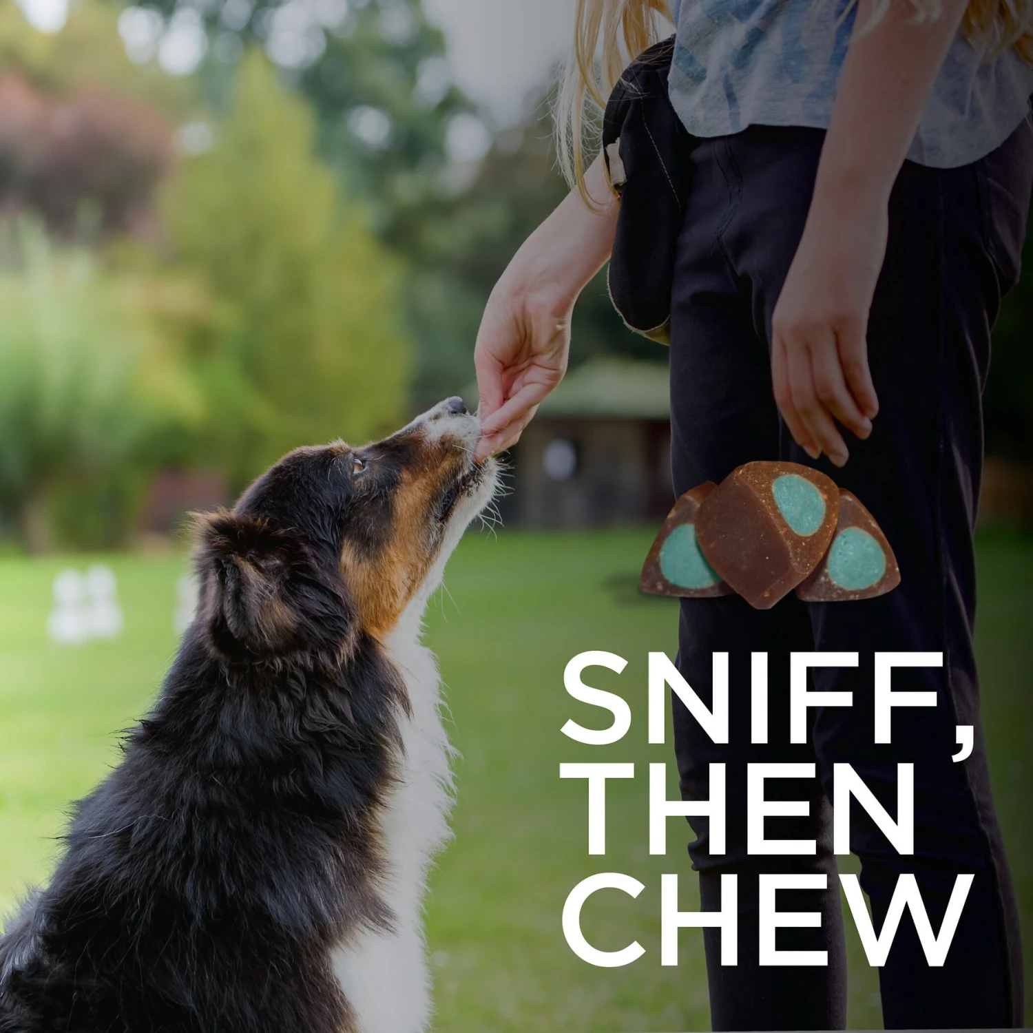 TevraPet Calming Well Bites Dog Supplement, 60 Count 3 TevraPet Calming Well Bites Dog Supplement, 60 Count - Image 3