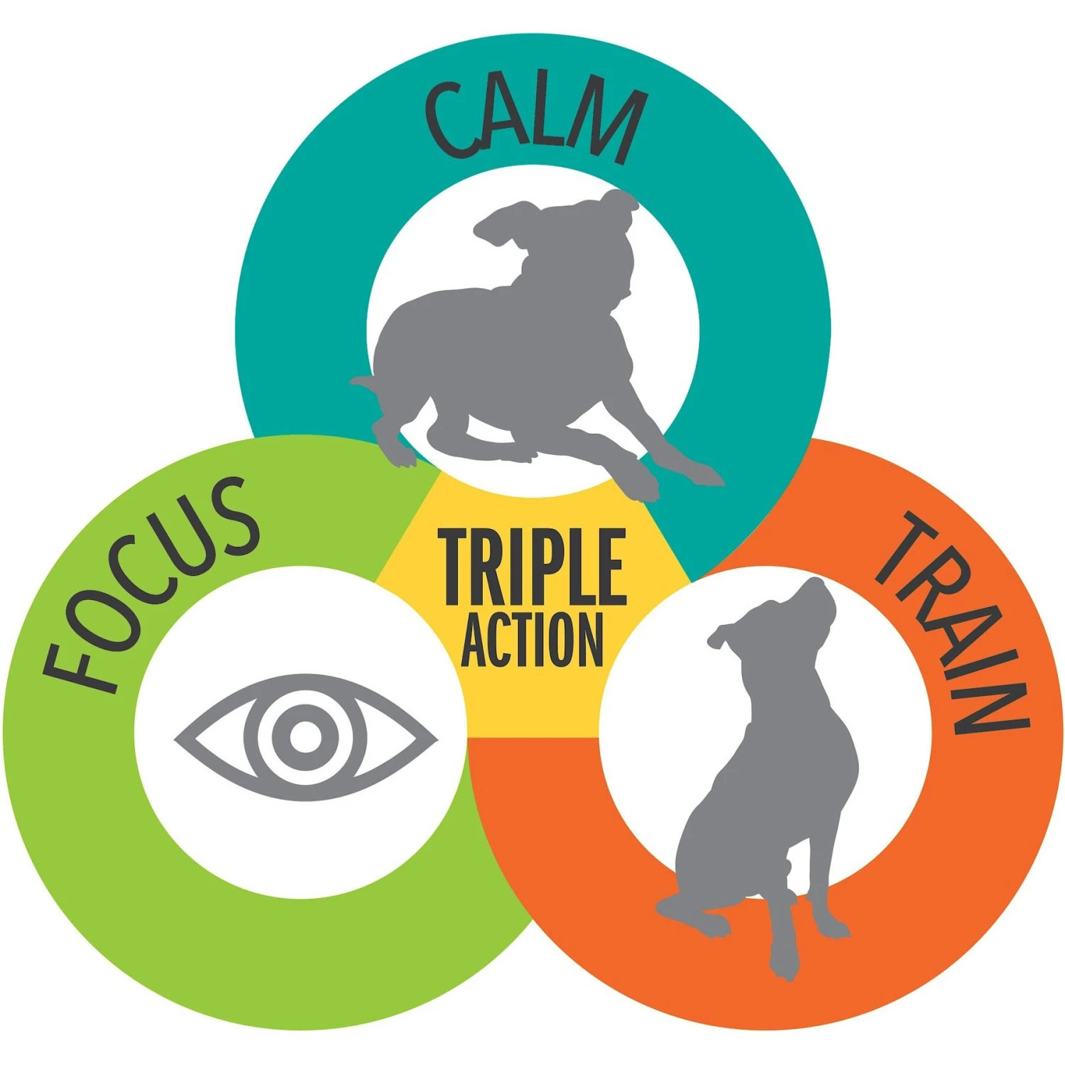 TevraPet Calming Well Bites Dog Supplement, 60 Count 4 TevraPet Calming Well Bites Dog Supplement, 60 Count - Image 4