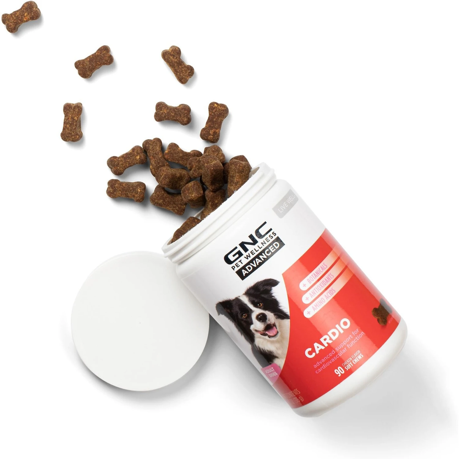 GNC Pets Advanced Cardio Chicken Flavor Soft Chews Dog Supplement, 90 Count 5 GNC Pets Advanced Cardio Chicken Flavor Soft Chews Dog Supplement, 90 Count - Image 5