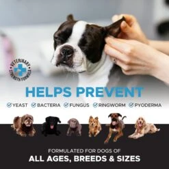 PetHonesty Otic Dog Ear Cleaner, Cucumber Melon Scent, 8-oz Bottle -Pet Wellness 252036 PT7. AC SS1800 V1697753361