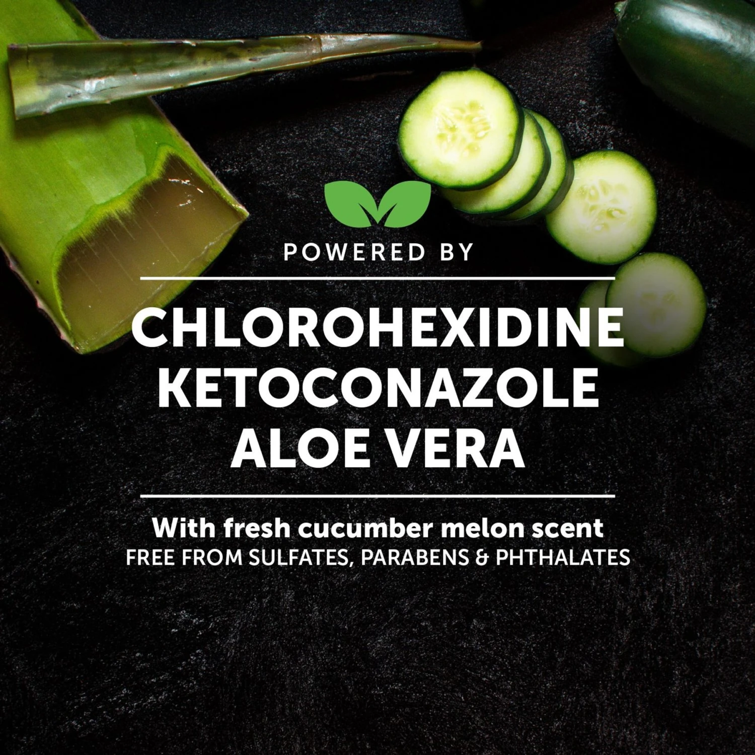 PetHonesty Chlorhexidine Antibacterial Cleansing & Odor Remover Dog Shampoo, 16-oz Bottle 3 PetHonesty Chlorhexidine Antibacterial Cleansing & Odor Remover Dog Shampoo, 16-oz Bottle - Image 3