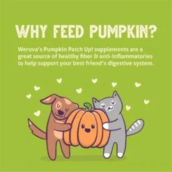 Weruva Pumpkin Patch Up! Pumpkin With Ginger & Turmeric Dog & Cat Wet Food Supplement 8 Weruva Pumpkin Patch Up! Pumpkin With Ginger & Turmeric Dog & Cat Wet Food Supplement -Pet Wellness 252854 PT5. AC SS1800 V1600397173