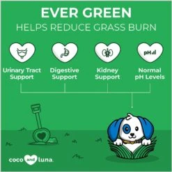 Coco And Luna Ever Green No Grass Burn Bacon & Liver Flavor Chewable Tablets Dog Supplement, 120 Count -Pet Wellness 253103 PT2. AC SS1800 V1650295609
