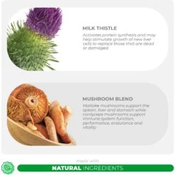 Coco And Luna Mushroom Complex Immune System Support Bacon & Liver Flavor Chewable Tablets Dog Supplement, 120 Count -Pet Wellness 253107 PT2. AC SS1800 V1657656389