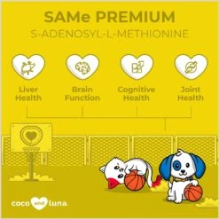 Coco And Luna SAMe Premium Salmon Flavor Powder Dog & Cat Supplement, 4-oz Jar -Pet Wellness 253111 PT2. AC SS1800 V1652395585
