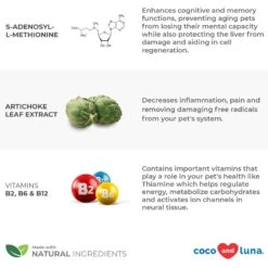 Coco And Luna SAMe Premium Salmon Flavor Powder Dog & Cat Supplement, 4-oz Jar -Pet Wellness 253111 PT3. AC SS1800 V1657656389