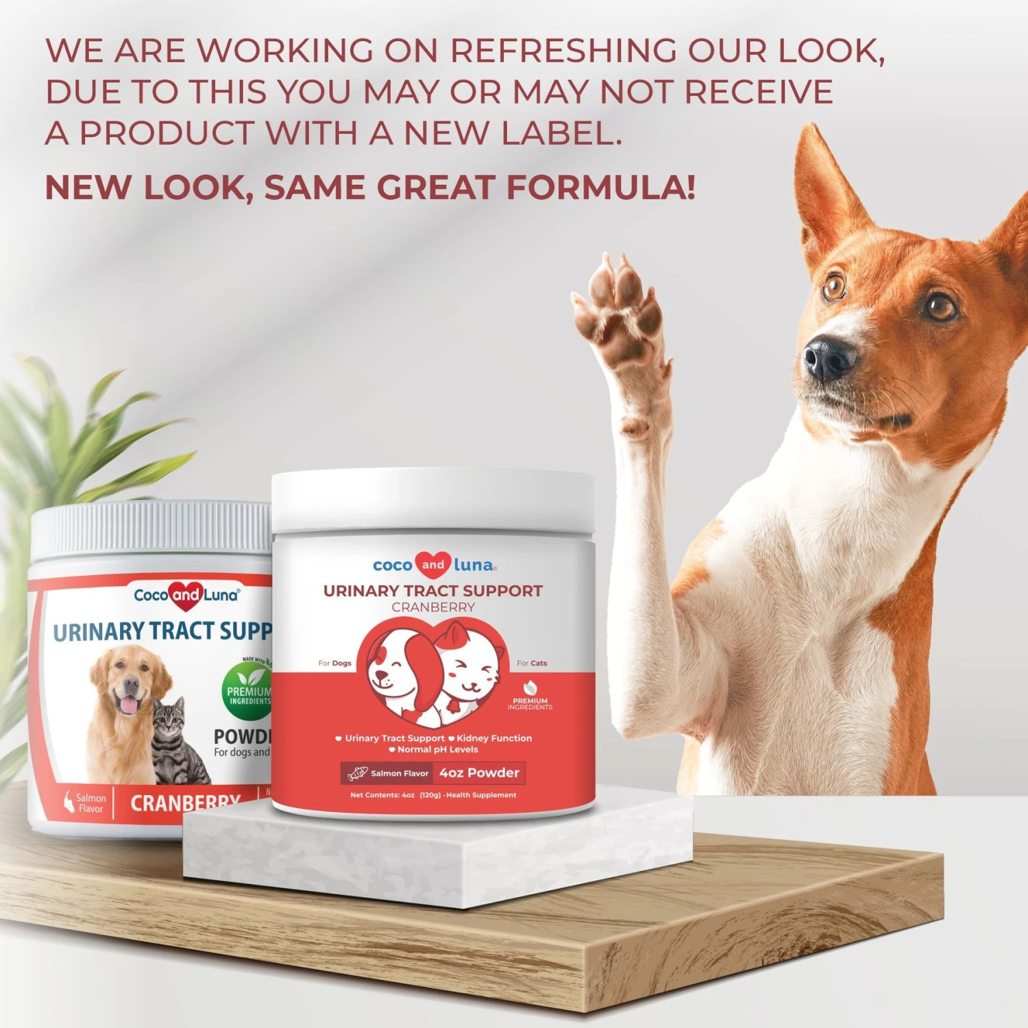 Coco And Luna Urinary Tract Support Cranberry Salmon Flavor Powder Dog & Cat Supplement, 4-oz Jar 2 Coco And Luna Urinary Tract Support Cranberry Salmon Flavor Powder Dog & Cat Supplement, 4-oz Jar - Image 2