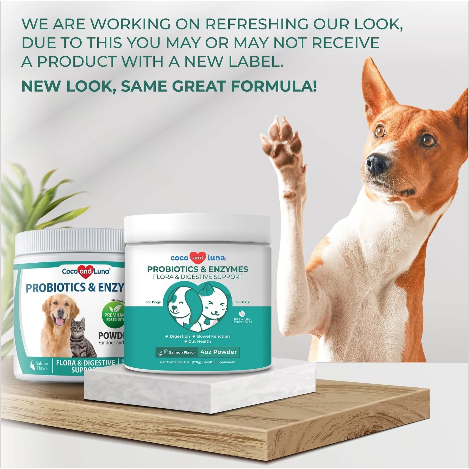 Coco And Luna Probiotics & Enzymes Flora & Digestive Support Salmon Flavor Powder Dog & Cat Supplement, 4-oz Jar 2 Coco And Luna Probiotics & Enzymes Flora & Digestive Support Salmon Flavor Powder Dog & Cat Supplement, 4-oz Jar - Image 2