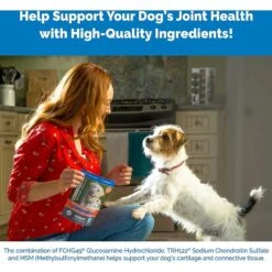 Nutramax Cosequin Minis Maximum Strength Soft Chews Joint Health Supplement -Pet Wellness 253502 PT3. AC SS1800 V1624602182