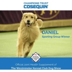 Nutramax Cosequin Minis Maximum Strength Soft Chews Joint Health Supplement -Pet Wellness 253502 PT4. AC SS1800 V1624617464