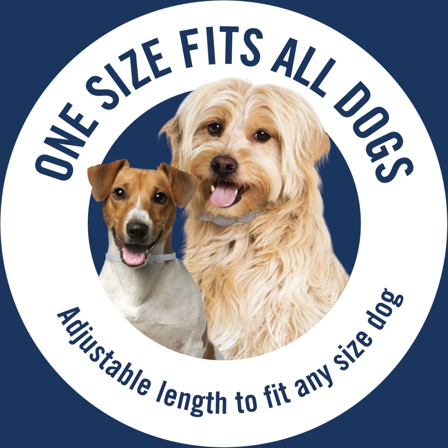 PetArmor Plus Flea & Tick Collar For Dogs 6 PetArmor Plus Flea & Tick Collar For Dogs - Image 6