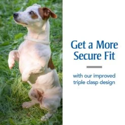 PetArmor Plus Flea & Tick Collar For Dogs 16 PetArmor Plus Flea & Tick Collar For Dogs -Pet Wellness 254560 PT7. AC SS1800 V1601336460