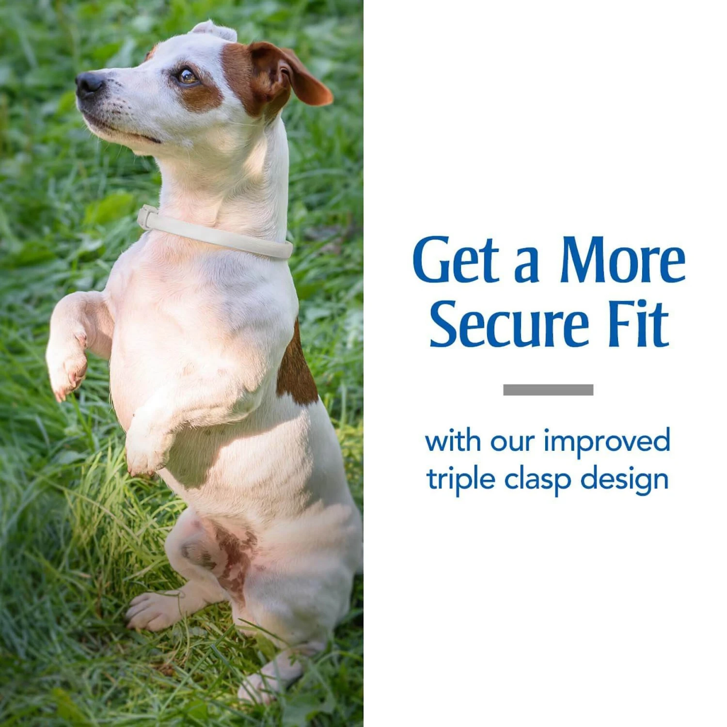 PetArmor Plus Flea & Tick Collar For Dogs 8 PetArmor Plus Flea & Tick Collar For Dogs - Image 8