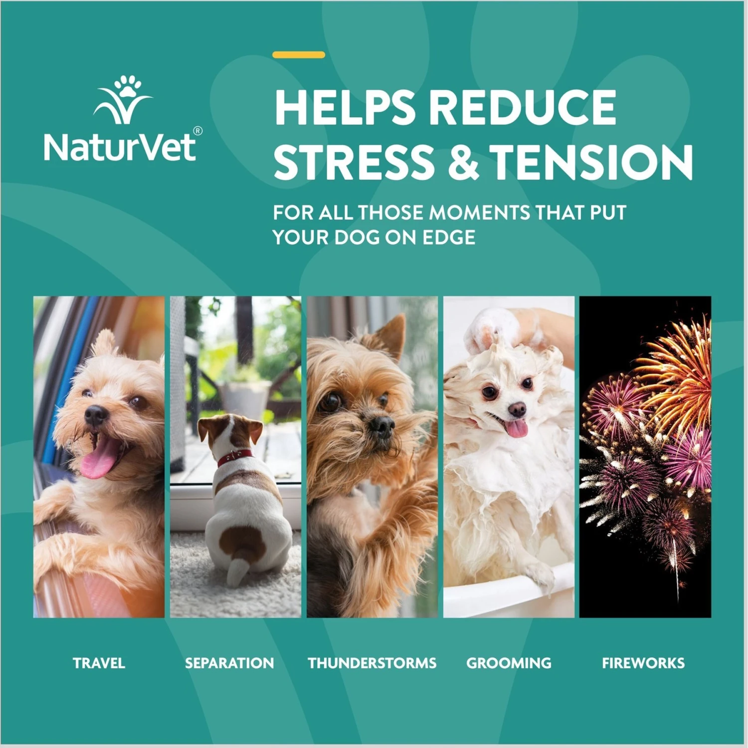NaturVet Quiet Moments Plus Melatonin Soft Chews Calming Supplement For Dogs 2 NaturVet Quiet Moments Plus Melatonin Soft Chews Calming Supplement For Dogs - Image 2
