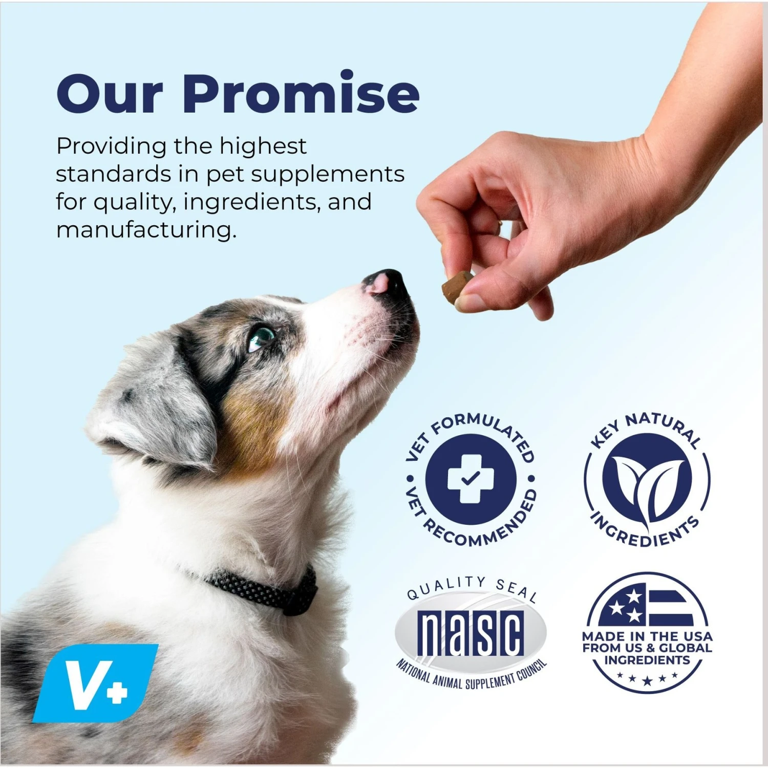 Vetnique Labs Dermabliss Allergy & Immune Salmon Flavored Seasonal Allergy & Fish Oil Soft Chew Supplement For Dogs 7 Vetnique Labs Dermabliss Allergy & Immune Salmon Flavored Seasonal Allergy & Fish Oil Soft Chew Supplement For Dogs - Image 7