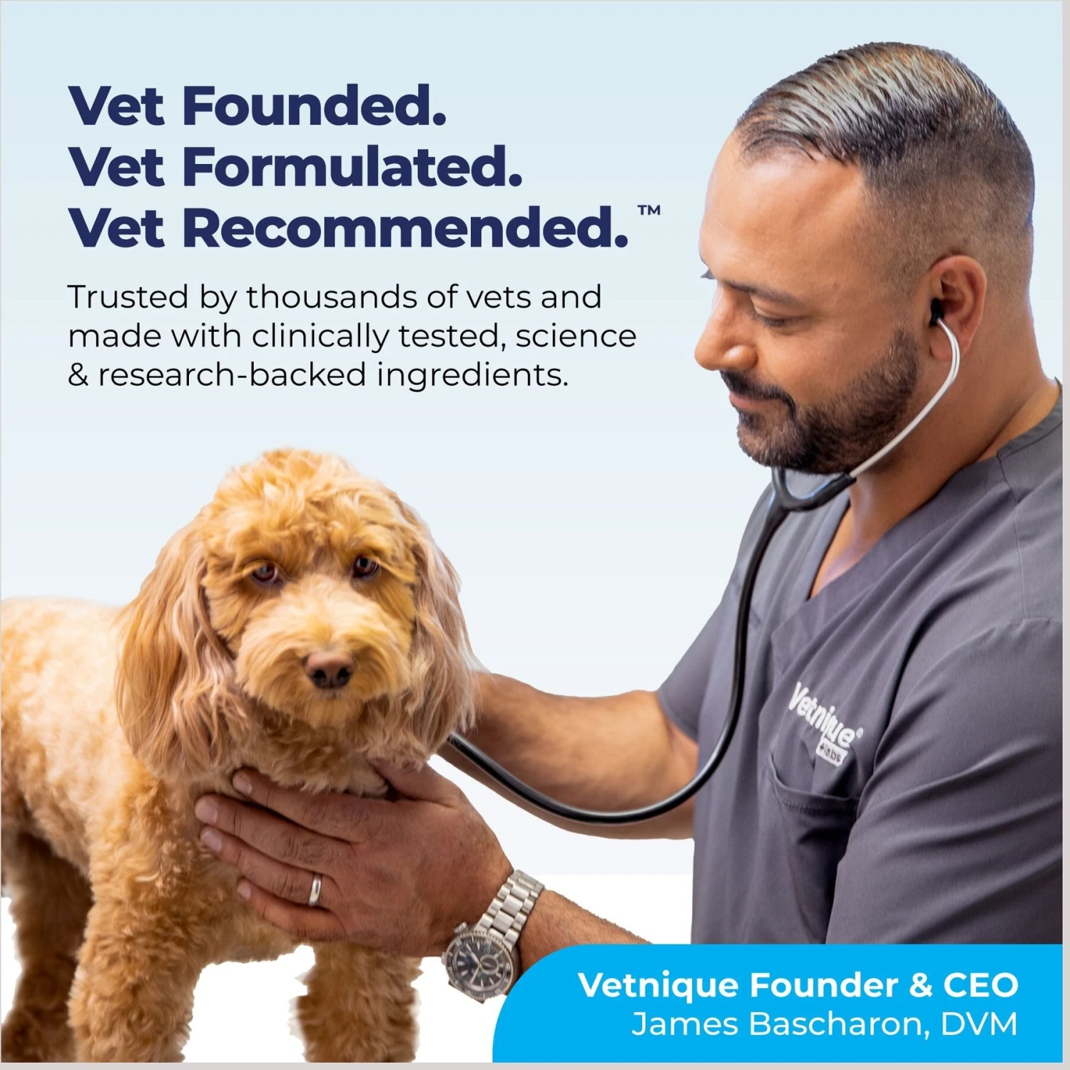 Vetnique Labs Dermabliss Allergy & Immune Salmon Flavored Seasonal Allergy & Fish Oil Soft Chew Supplement For Dogs 8 Vetnique Labs Dermabliss Allergy & Immune Salmon Flavored Seasonal Allergy & Fish Oil Soft Chew Supplement For Dogs - Image 8