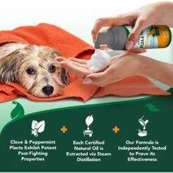 Vet's Best Flea & Tick Prevention Waterless Bath Dog Shampoo, 8-oz Bottle 13 Vet's Best Flea & Tick Prevention Waterless Bath Dog Shampoo, 8-oz Bottle -Pet Wellness 258866 PT6. AC SS1800 V1604107899