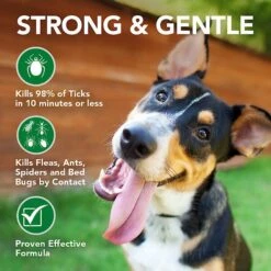 Vet's Best Tick Killing Tick Treatment Dog Spray, 1-oz Bottle -Pet Wellness 258870 PT4. AC SS1800 V1604108492