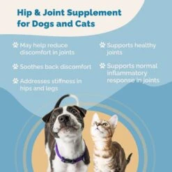 Prana Pets Hip & Joint Liquid Cat & Dog Supplement, 2-oz Bottle 9 Prana Pets Hip & Joint Liquid Cat & Dog Supplement, 2-oz Bottle -Pet Wellness 258964 PT3. AC SS1800 V1680183719