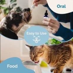 Prana Pets Hip & Joint Liquid Cat & Dog Supplement, 2-oz Bottle 13 Prana Pets Hip & Joint Liquid Cat & Dog Supplement, 2-oz Bottle -Pet Wellness 258964 PT7. AC SS1800 V1680182260