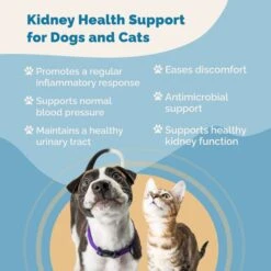 Prana Pets Kidney Health Support Liquid Cat & Dog Supplement, 2-oz Bottle 9 Prana Pets Kidney Health Support Liquid Cat & Dog Supplement, 2-oz Bottle -Pet Wellness 258974 PT3. AC SS1800 V1680183630