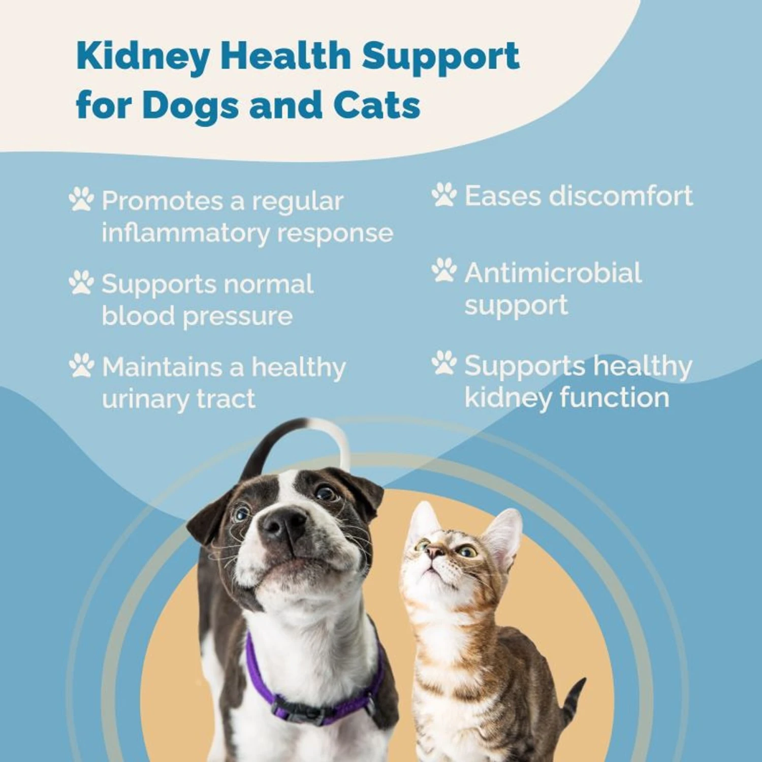 Prana Pets Kidney Health Support Liquid Cat & Dog Supplement, 2-oz Bottle 3 Prana Pets Kidney Health Support Liquid Cat & Dog Supplement, 2-oz Bottle - Image 3
