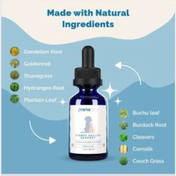 Prana Pets Kidney Health Support Liquid Cat & Dog Supplement, 2-oz Bottle 10 Prana Pets Kidney Health Support Liquid Cat & Dog Supplement, 2-oz Bottle -Pet Wellness 258974 PT4. AC SS1800 V1680188292
