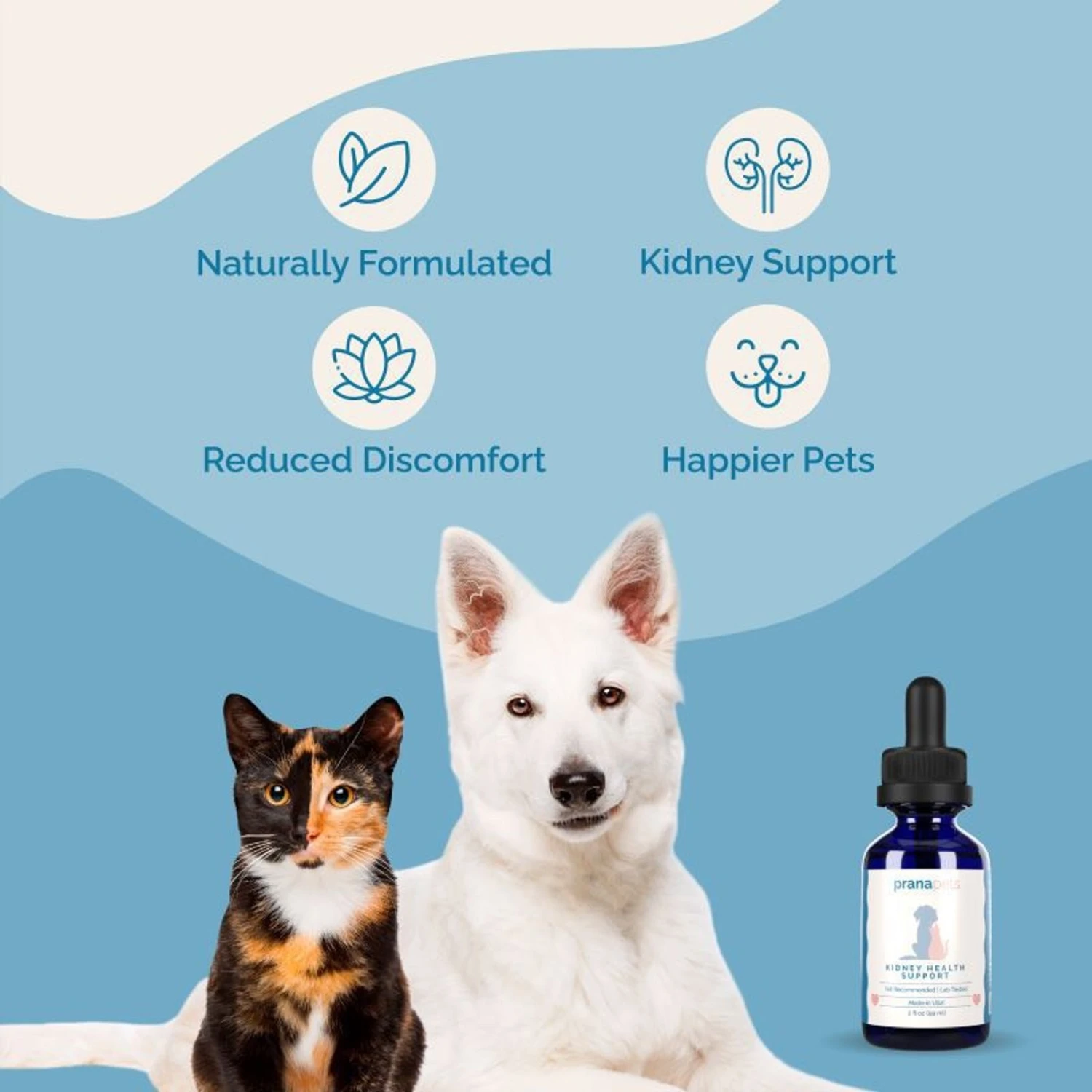 Prana Pets Kidney Health Support Liquid Cat & Dog Supplement, 2-oz Bottle 5 Prana Pets Kidney Health Support Liquid Cat & Dog Supplement, 2-oz Bottle - Image 5