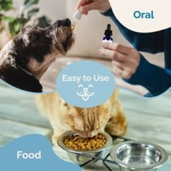 Prana Pets Kidney Health Support Liquid Cat & Dog Supplement, 2-oz Bottle 13 Prana Pets Kidney Health Support Liquid Cat & Dog Supplement, 2-oz Bottle -Pet Wellness 258974 PT7. AC SS1800 V1680181732