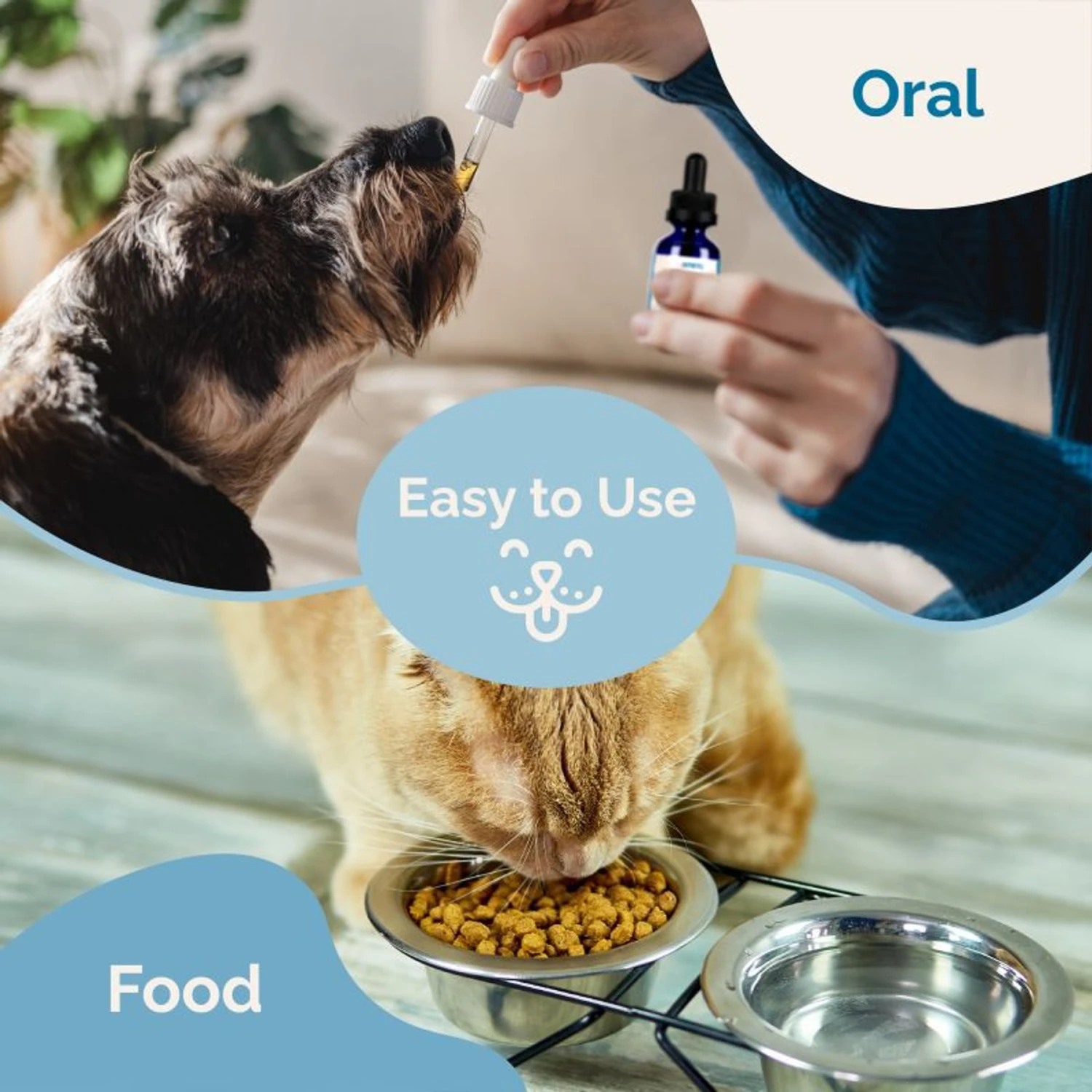 Prana Pets Kidney Health Support Liquid Cat & Dog Supplement, 2-oz Bottle 7 Prana Pets Kidney Health Support Liquid Cat & Dog Supplement, 2-oz Bottle - Image 7