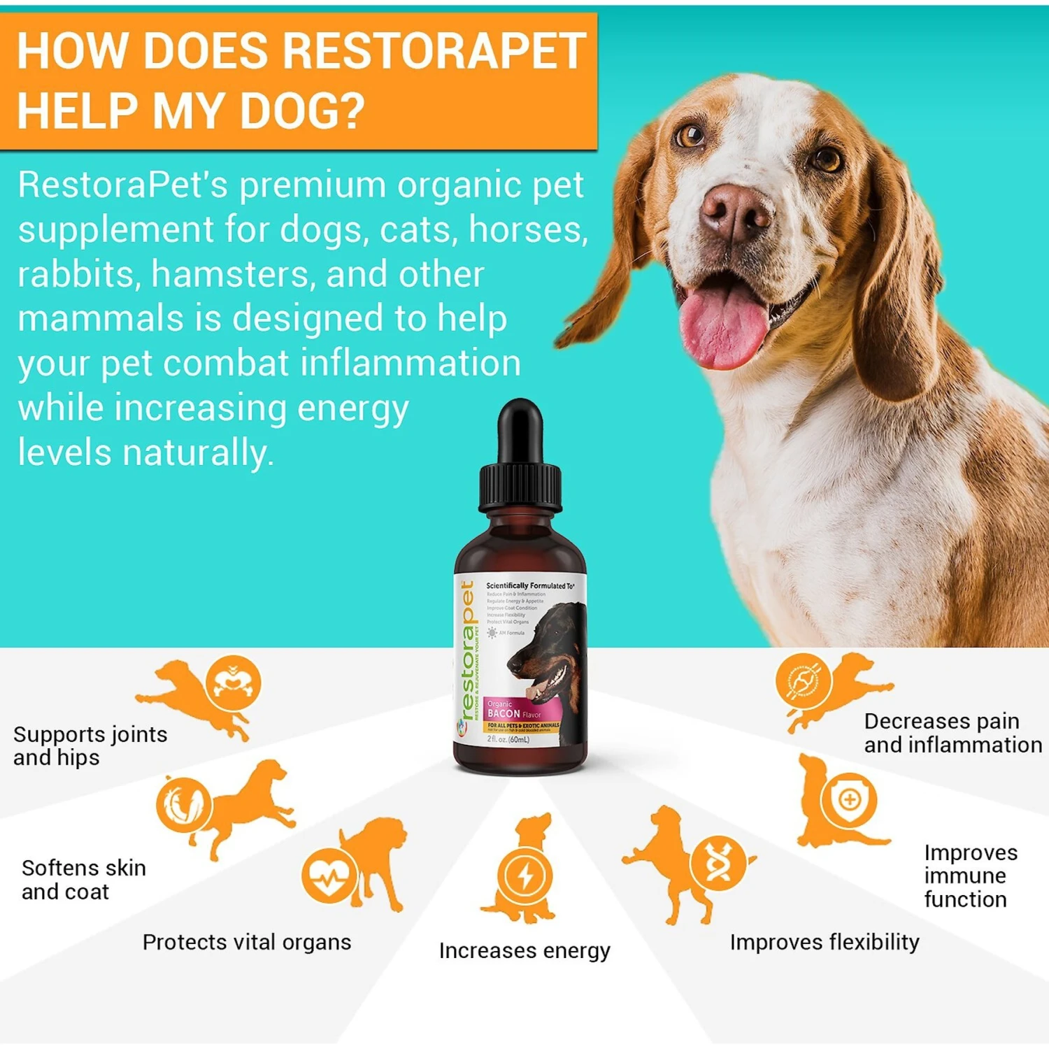 RestoraPet Daily Supplement Organic Bacon Flavor Dog & Cat Supplement 6 RestoraPet Daily Supplement Organic Bacon Flavor Dog & Cat Supplement - Image 6